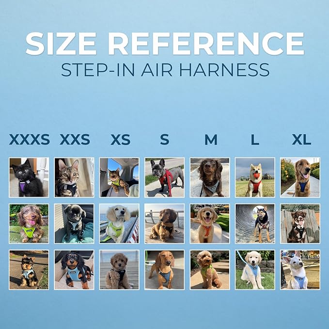 Best Pet Supplies Voyager Step-in Air Harness - Image 6