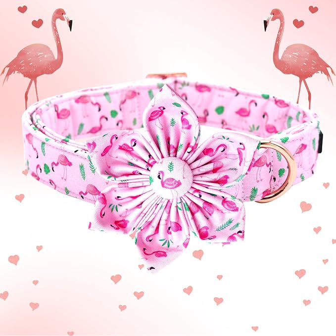 Lionheart Glory Valentine's Day Collar - Image 3