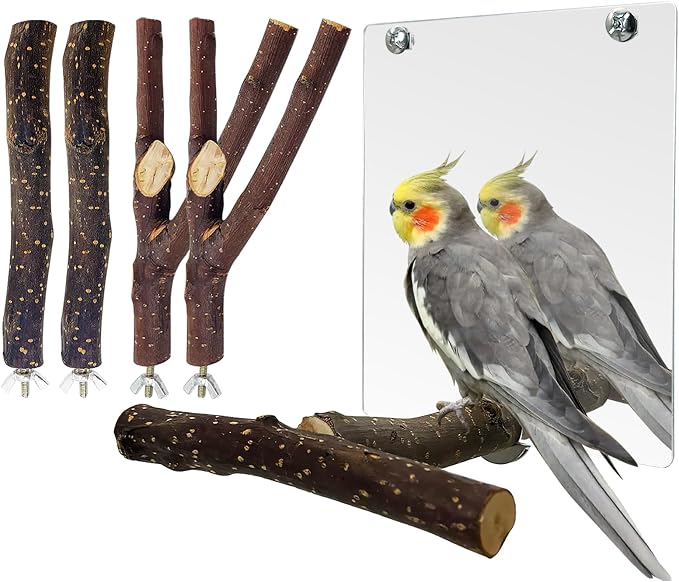 BNOSDM 5PCS Bird Mirror with Perches Stand Parrot Natural Wood Stick Perches by BNOSDM