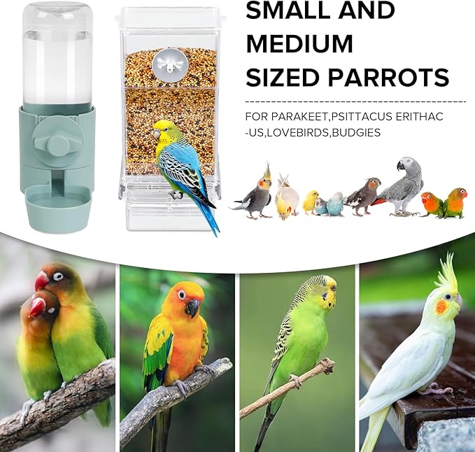 No Mess Bird Feeder Water Dispenser Set, Bird Feeder - Image 2