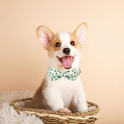MR. CHUBBYFACE St.Patrick's Clover Dog Collar - Image 5