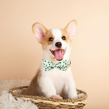 MR. CHUBBYFACE St.Patrick's Clover Dog Collar - Image 5
