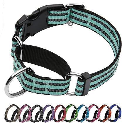 Martingale Dog Collar, Adjustable Nylon Reflective Collar by JOYEEIIOO