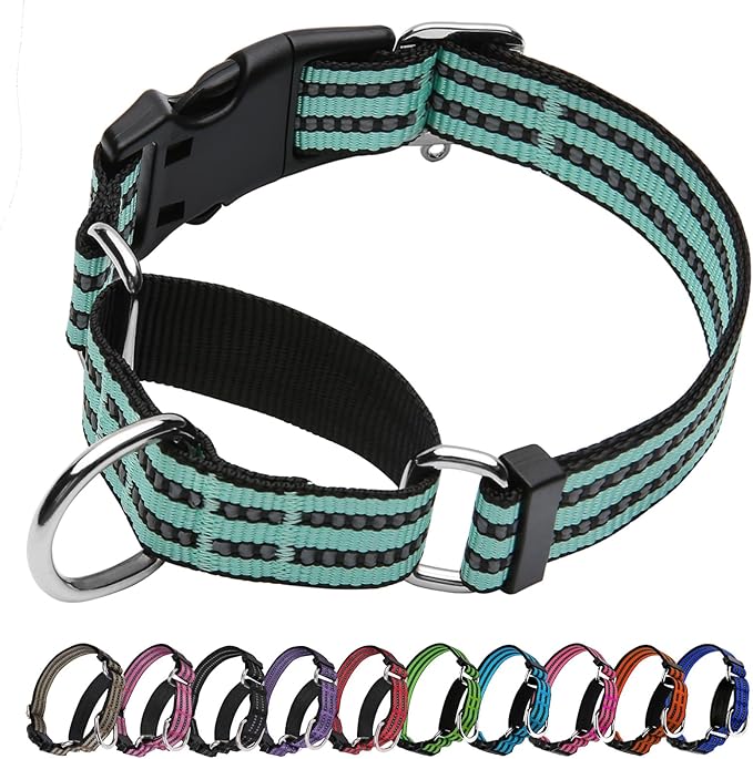 Martingale Dog Collar, Adjustable Nylon Reflective Collar by JOYEEIIOO