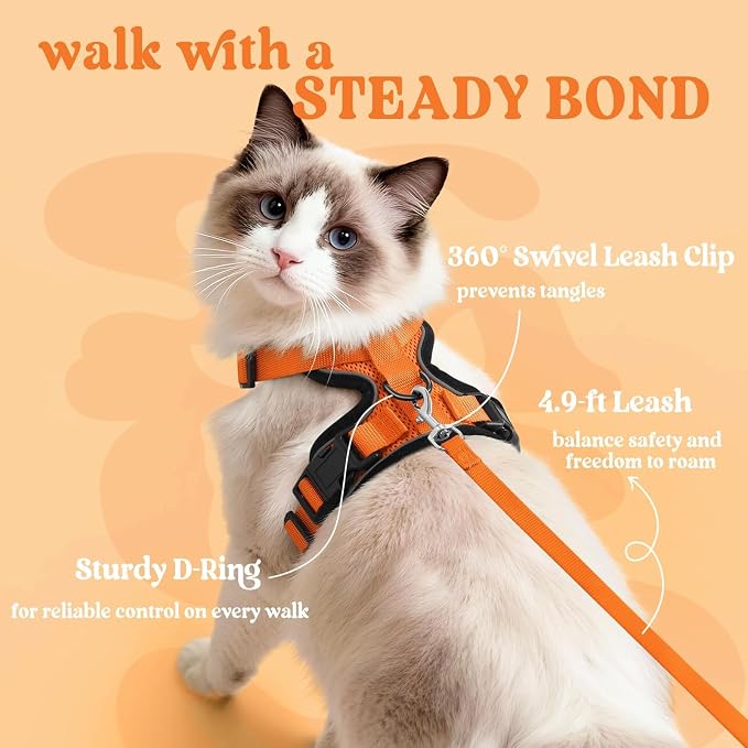 rabbitgoo Cat Harness and Leash - Image 5