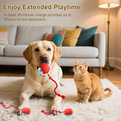 Interactive Cat Toy, 2025 New Interactive Rolling CatsToy Balls 360° Smart - Image 7
