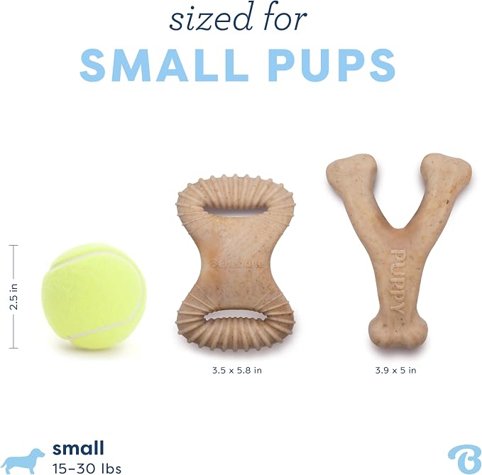 Benebone Puppy 2-Pack Dental Chew/Wishbone Real Chicken Small - Image 4