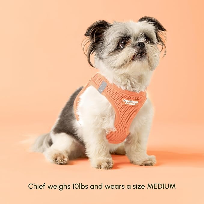 Downtown Pet Supply Step in Dog Harness - Image 5