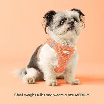 Downtown Pet Supply Step in Dog Harness - Image 4