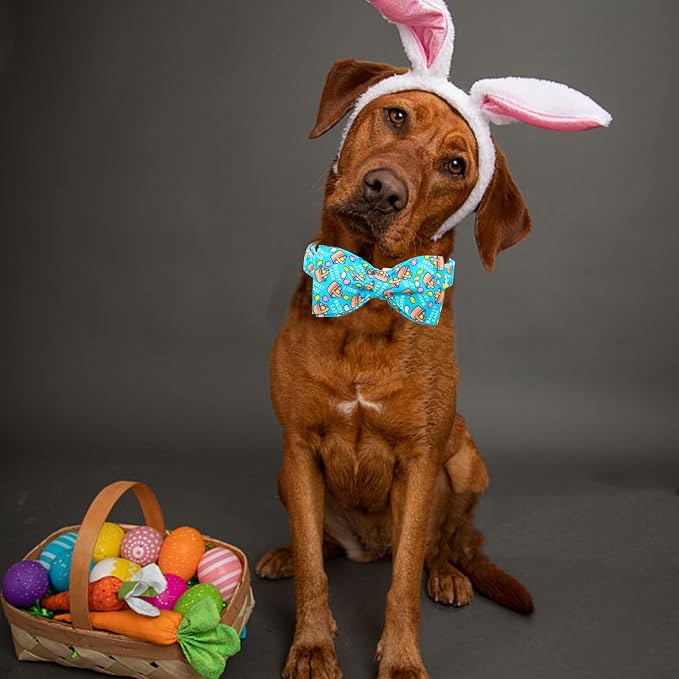 Lionheart Glory Easter Day Dog Collar - Image 5