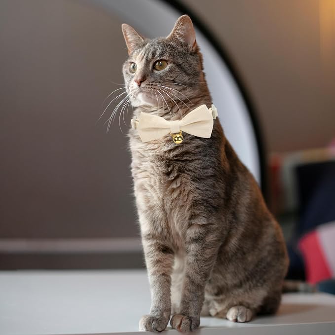 2 Pack Soft Corduroy Cat Collars - Image 5