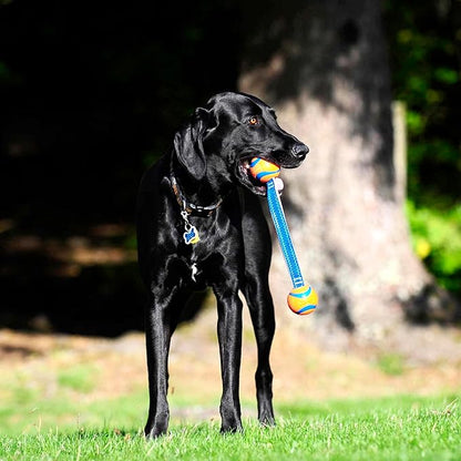Chuckit! Ultra Duo Tug Dog Toy, Small Indoor and Outdoor Dog Ball - Image 6