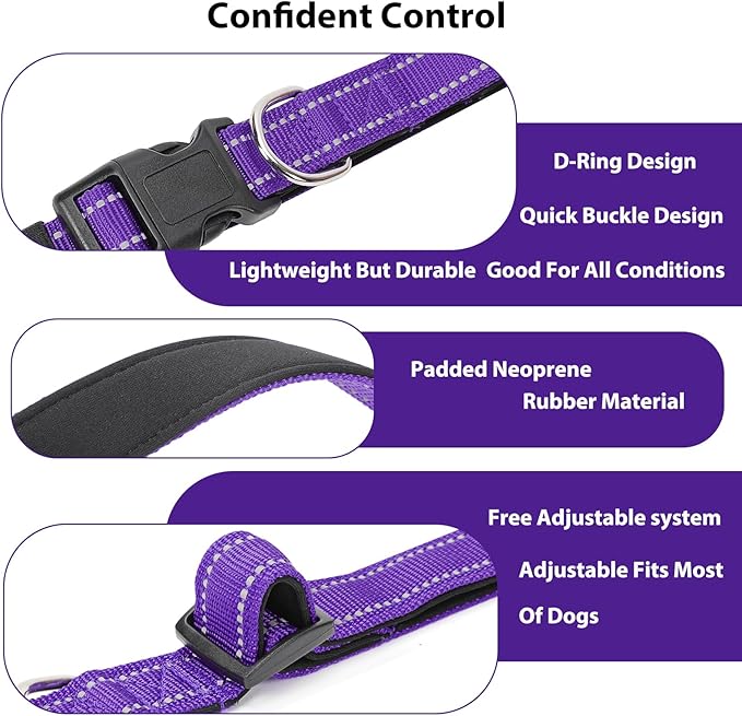 Reflective Dog Collar Padded - Image 4