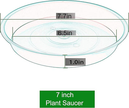 6 Pack of 7 inch Plant Saucer, Heavy Duty Plastic Plant Water Tray 7 inch Round - Image 2