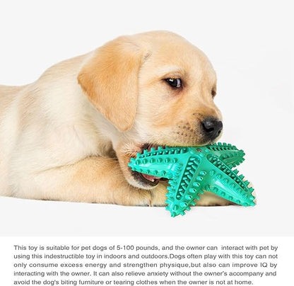 Chew Toy for Dog Toothbrush Stick Dog Toys for Aggressive Chewers Interactive - Image 8