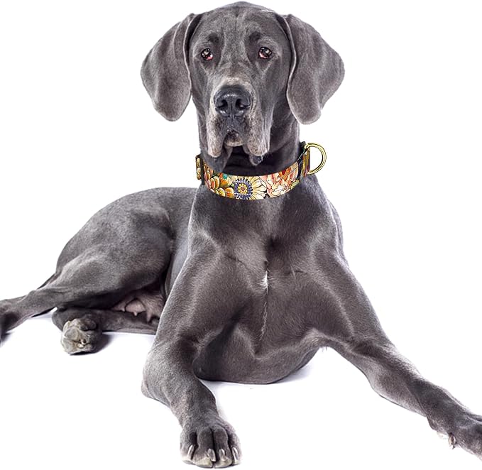 Reflective Dog Collar for Large Dogs, Cute Boho Adjustable Heavy-Duty Nylon - Image 2