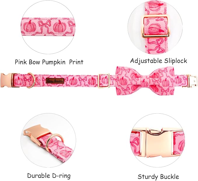 Dog Collar - Image 2