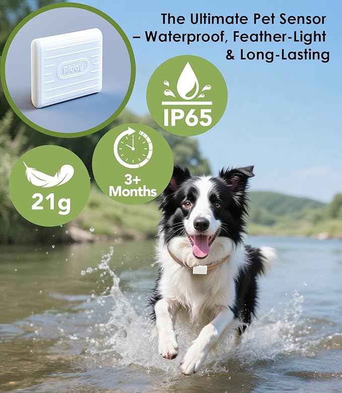 Automatic Dog Door with Collar Sensor, 2-Flap Large Electronic Dog Door - Image 4