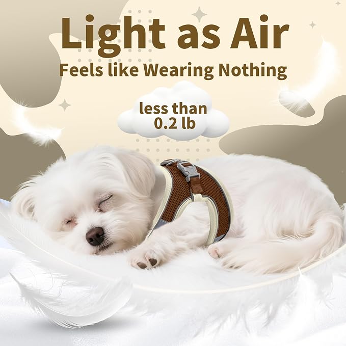 AIITLE Easy Walk Dog Harness and Leash Set - Image 7