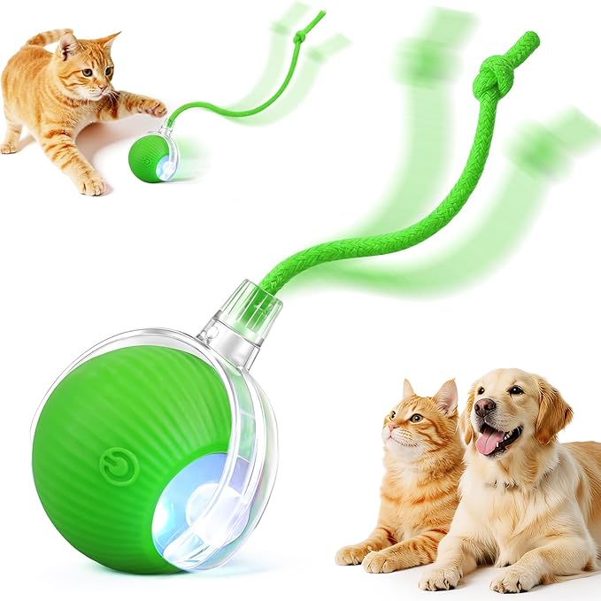 Interactive Electric Automatic Rolling Moving USB Rechargeable Self Activated by Unknown