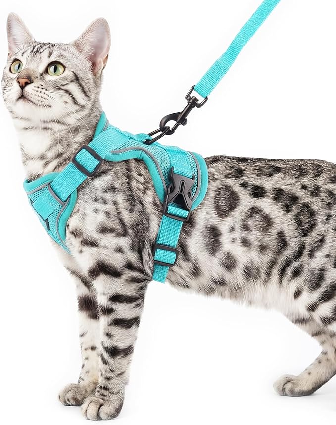 Cat Harness and Leash Set Escape Proof Tactical Large Kitten Harness Emotional by pangdi