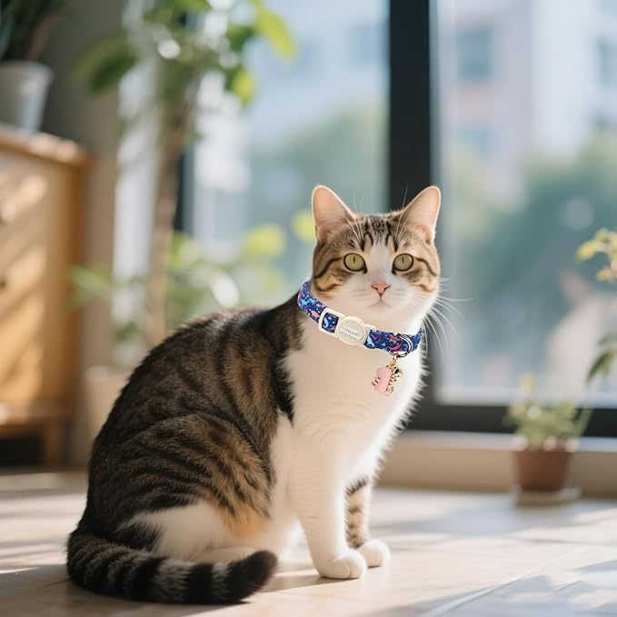Unique style paws 2 Pack Spring Summer Kitten Collar Breakaway - Image 5