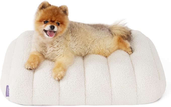 LE SURE Cute Orthopedic Dog Bed by Lesure