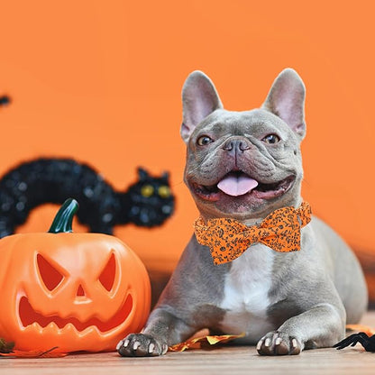 Halloween Dog Collar, Pet Collar Dog Bow Pumpkin Pet Collar Girl Boy Holiday - Image 5