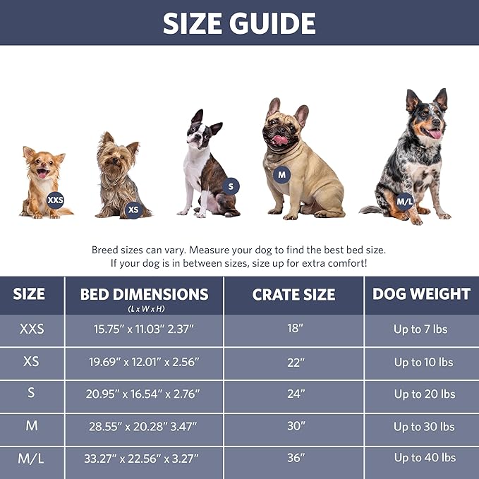 MidWest Homes for Pets QuietTime Fashion XS Dog Bed – Blue Faux Fur Bolster - Image 6