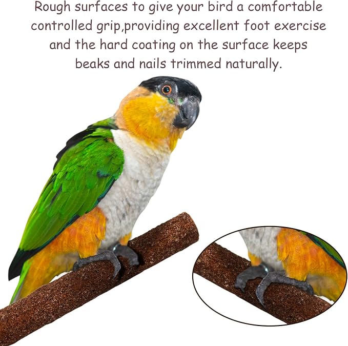 6 Pcs Bird Perch Stand Toy, Wood Parrot Stand Platform Colorful Sand Paw - Image 3