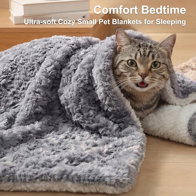 Cat Blanket for Indoor Cats - Image 3