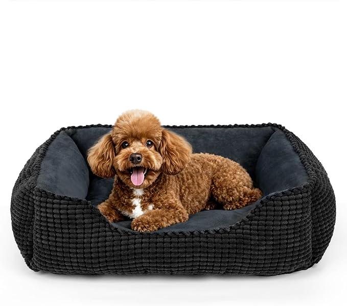 MIXJOY Rectangle Washable Orthopedic Dog Bed by MIXJOY