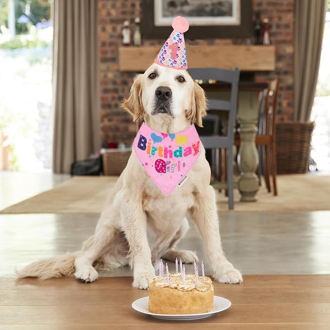 ADOGGYGO Dog Birthday Party Supplies - Image 2