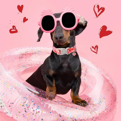 Unique style paws Valentine's Day Dog Collar Plastic Buckle Collar - Image 5