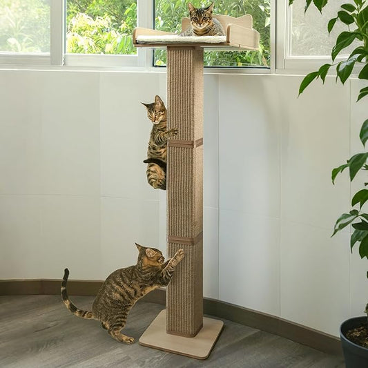 Cat Window Perch with Thick Sisal Scratching Post, Cat Hammock by GreenPetopia