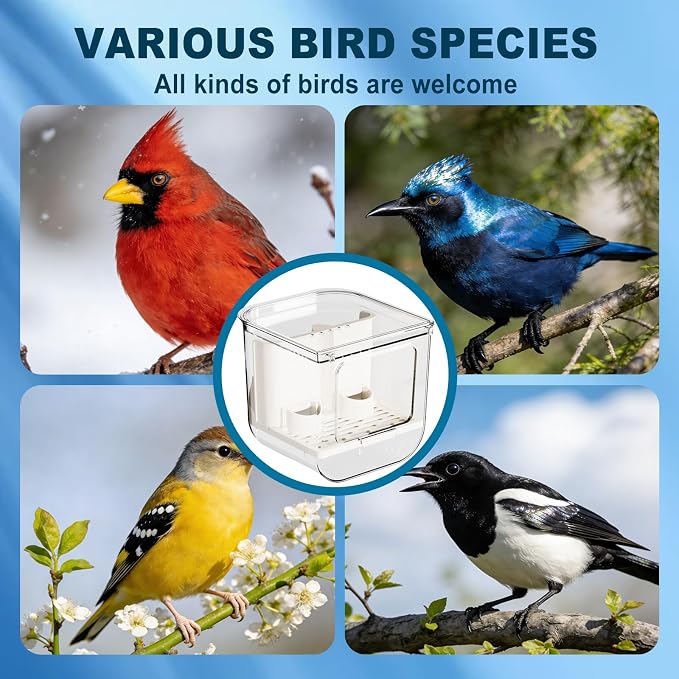No Mess Bird Feeder for Cage, Hanging Bird Bath for Cage for Lovebirds - Image 7