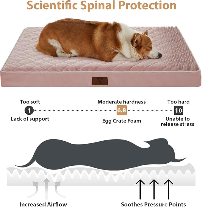 WNPETHOME Orthopedic XL Dog Bed - Image 3