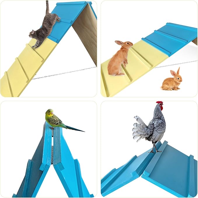 Dog Agility Course Backyard Equipment - Image 5