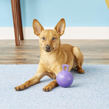Jolly Pets Tug-n-Toss Heavy Duty Dog Toy Ball - Image 4