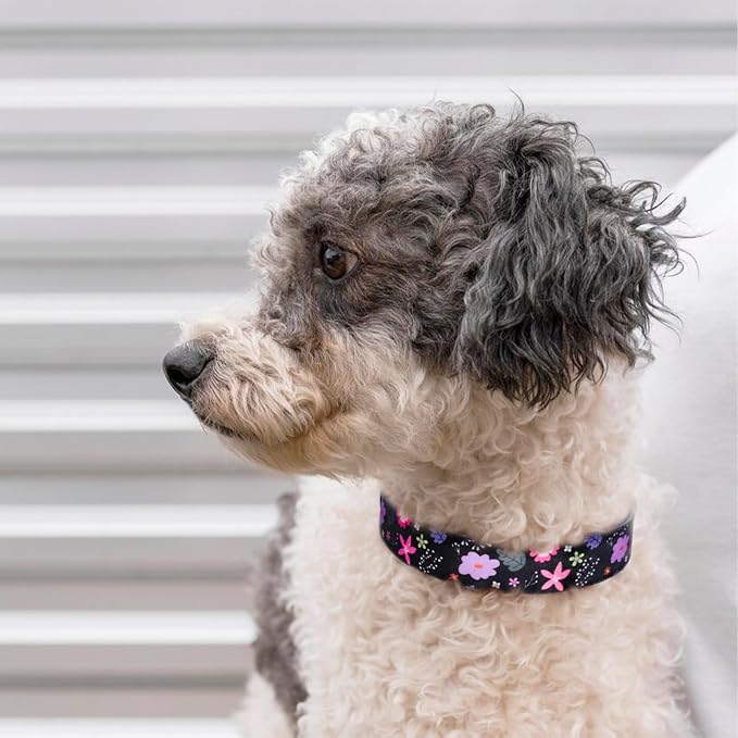 QQPETS Adjustable Soft Dog Collar: Print Flower Pink Multicolor Cute Patterns - Image 6
