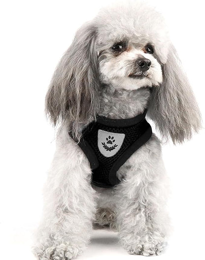 shudyear Summer cat Chest Harness and Leash, Anti-Escape Adjustable Soft mesh - Image 6
