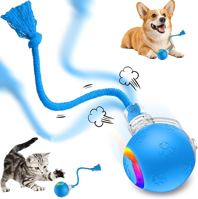 FUNNYDUCK Speed 2.0 Tail Interactive Cat Toys by Unknown