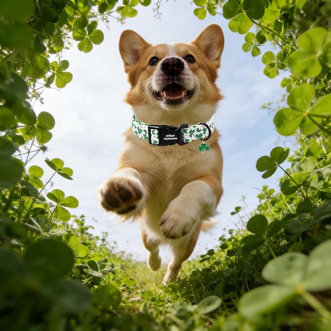 Unique style paws Dog Collar Plastic Buckle - Image 5