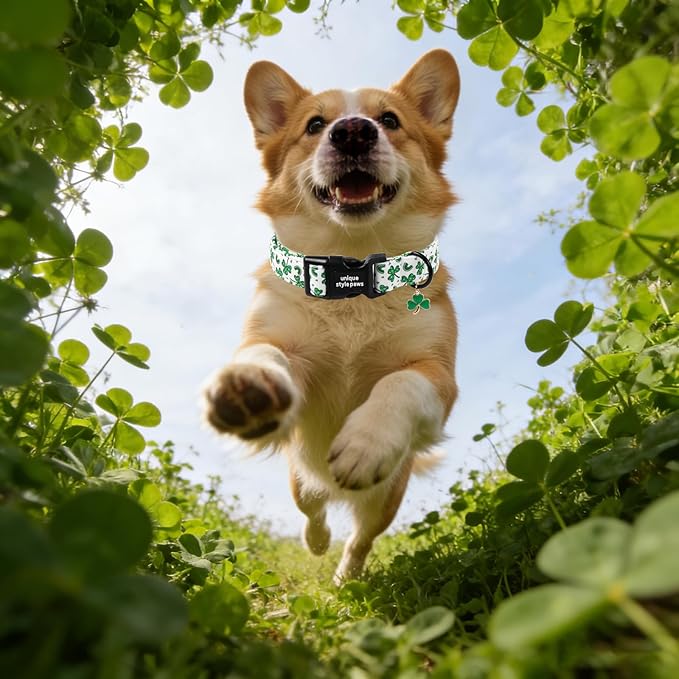 Unique style paws Dog Collar Plastic Buckle - Image 5