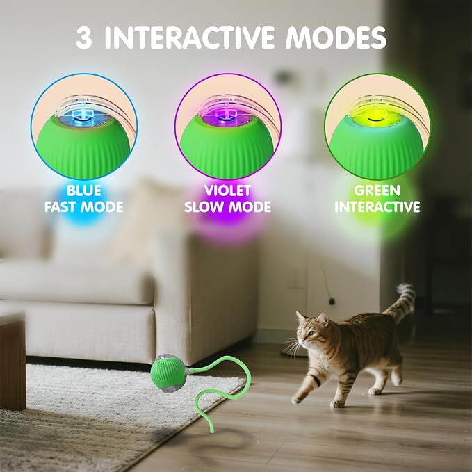 Rocfish Durable Interactive Cat Toys - Image 4