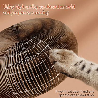 CusieryMax Cat Ball Adventure The Ultimate Interactive Mental & Physical - Image 5