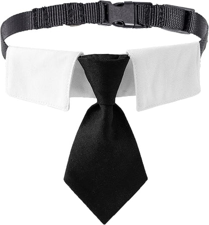 ADOGGYGO Adjustable Dog Neck Tie Collar Pet Collar by ADOGGYGO