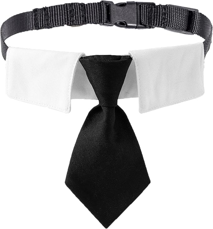 ADOGGYGO Adjustable Dog Neck Tie Collar Pet Collar by ADOGGYGO