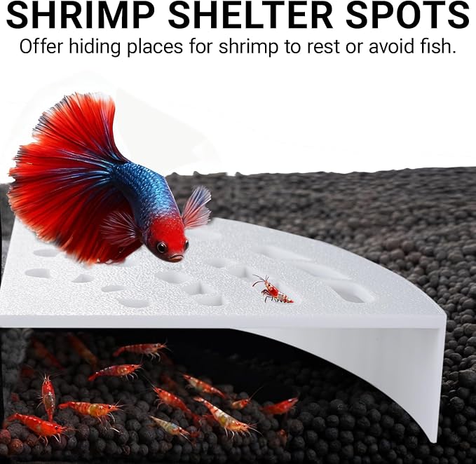 Shrimp Cave 2-Pack – Space-Saving Fan-Shaped Aquarium Cave Decor - Image 2