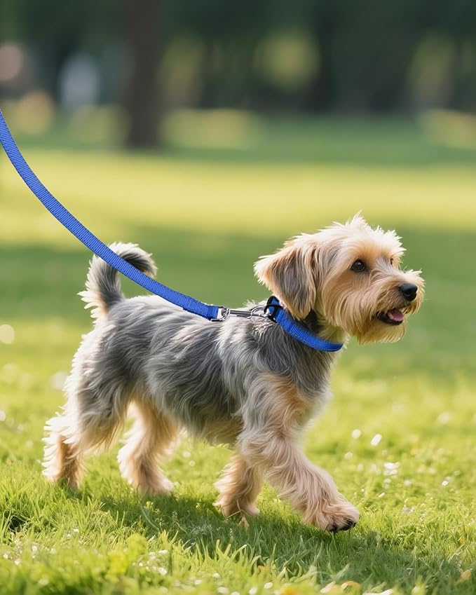 Joytale Small Dog Collar, Reflective and Adjustable Nylon Collar - Image 6